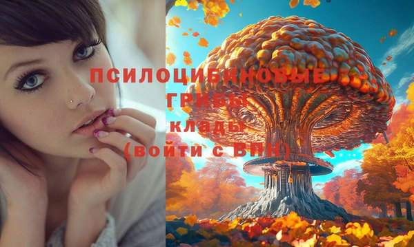 скорость Верея