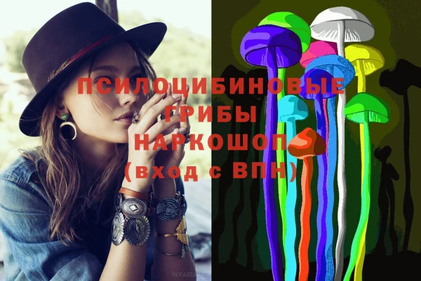mdpv Снежинск