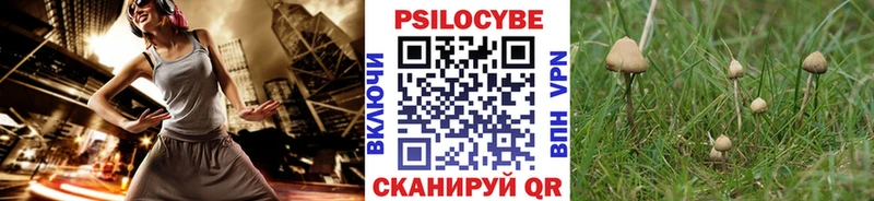 Псилоцибиновые грибы Cubensis  Челябинск 